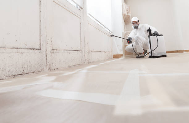 Post-remediation clearance in La Center